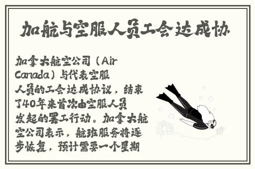 成品网源码78w78的特点